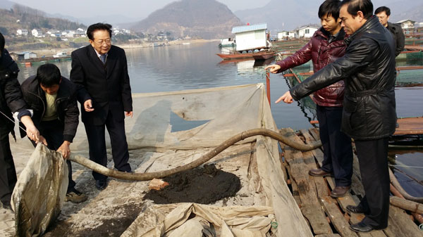 農業部漁業局副局長李書明在廣元白龍湖調研網箱魚體排泄物回收技術。